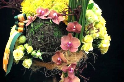 Inside Flowers