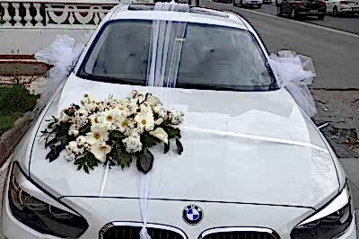 Alp Vip Transfer