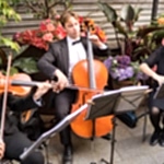 Düğün Orkestrası, DJ ve Müzik Grupları