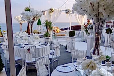 Elite Garden Davet