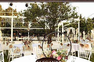 Elegant Garden