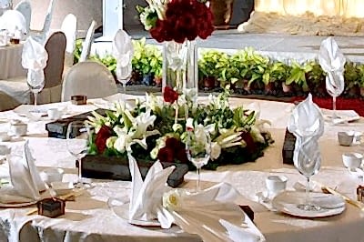 Dodo Park Event Center