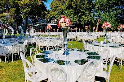 Violin Garden