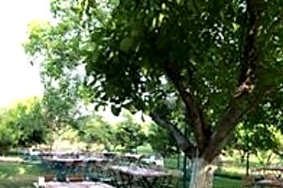Paşa Restaurant