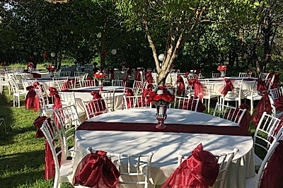Hayal Bahçesi