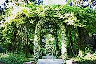 Edward Whittall Garden