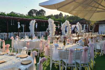 Vip Garden