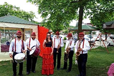 Ms Müzik Organizasyon